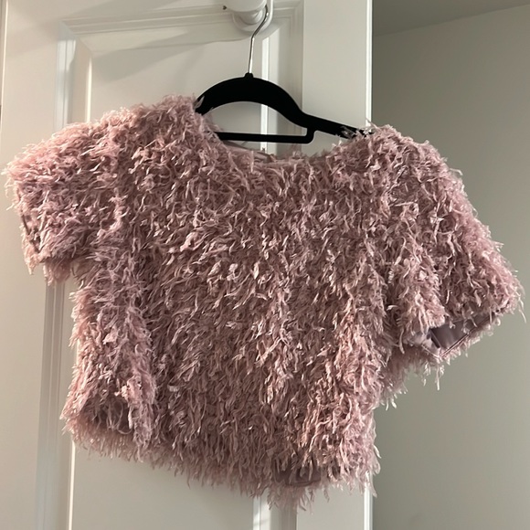 Zara feather pink crop top - Picture 1 of 1